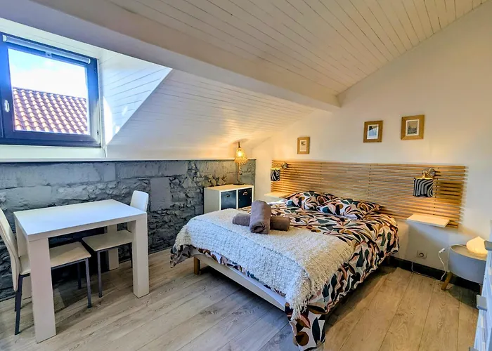 Appartement Nid De Hypercentre, Thermes, A Pied *