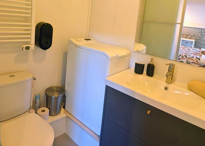 Appartement Nid De Hypercentre, Thermes, A Pied